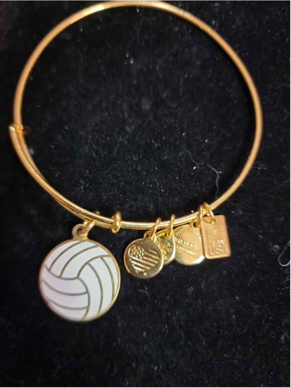 Alex And Ani Team USA Volleyball Bracelet Gold 2016 Olympics Limited Edition